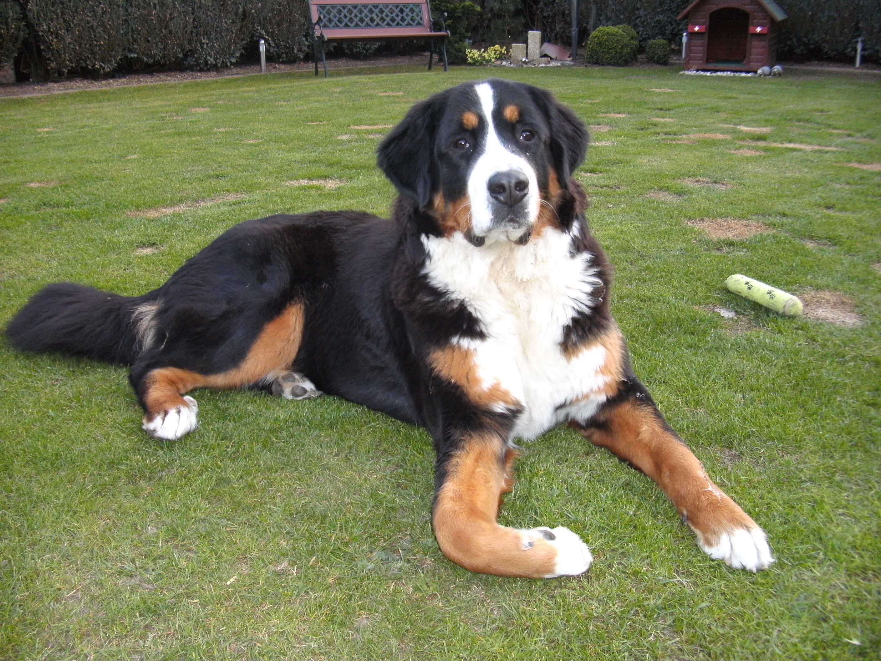 Homepage von Monika & Hans-J�rgen